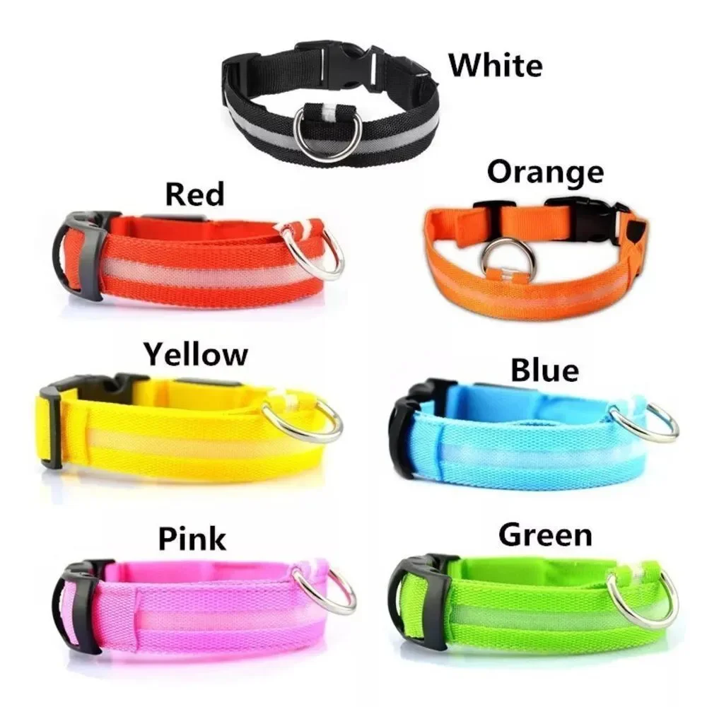 ⛔️CLEARANCE ⛔️LED Night Jog Dog Collar